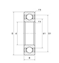 6202 Bearing