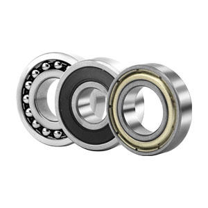 6310
